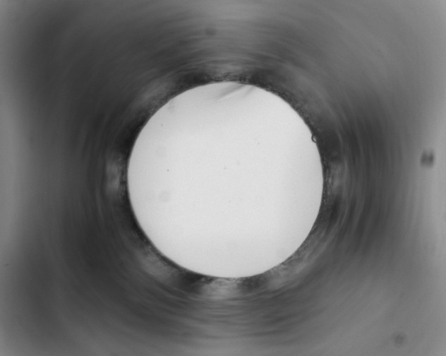 X0000102800138200809150937