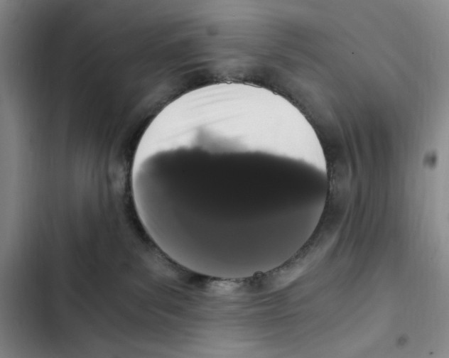 X0000102800139200809150937