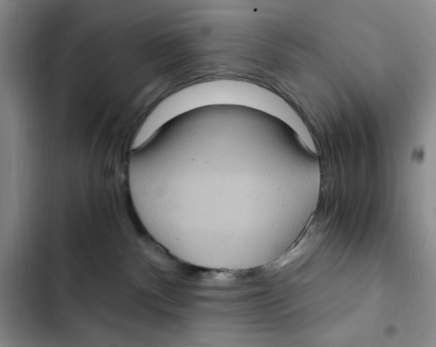 X0000102800140200809150937