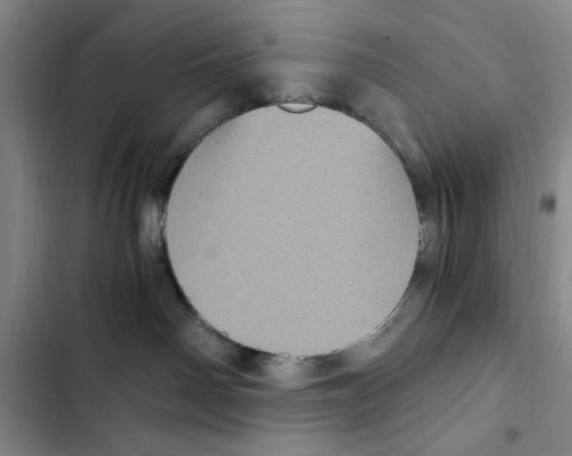 X0000102800142200809150937