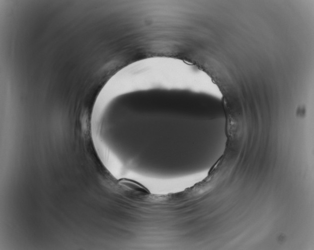 X0000102800143200809150937