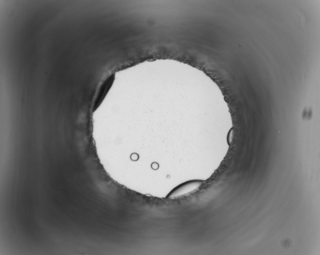 X0000102800144200809150937