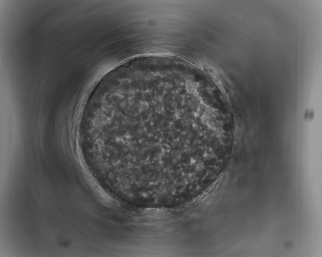 X0000102800145200809150937