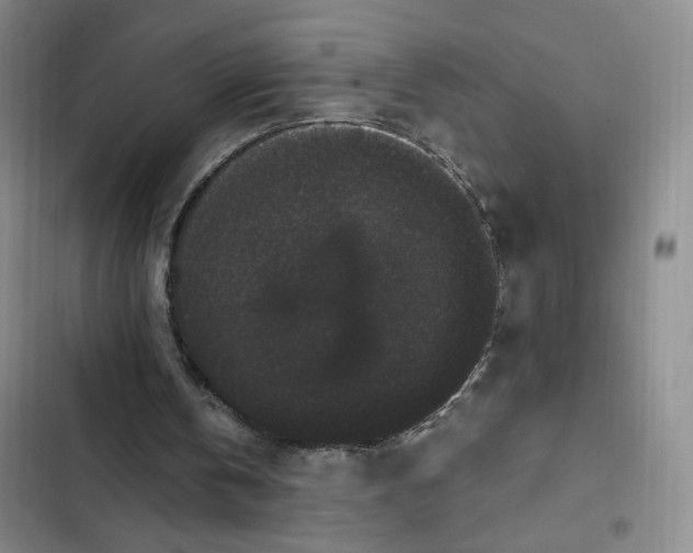 X0000102800146200809150937