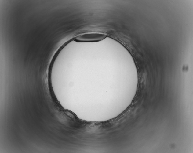 X0000102800148200809150937