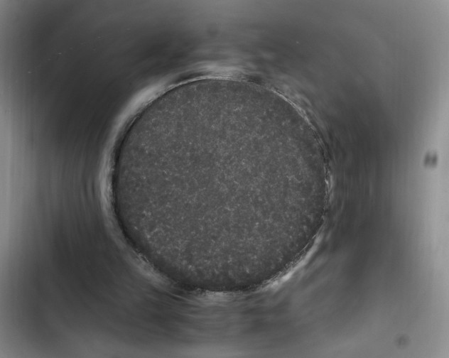 X0000102800149200809150937