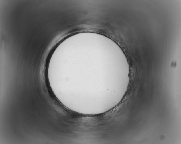 X0000102800150200809150937