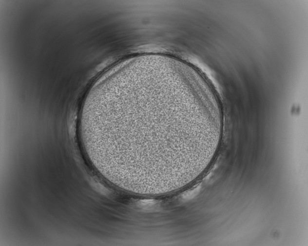 X0000102800153200809150937