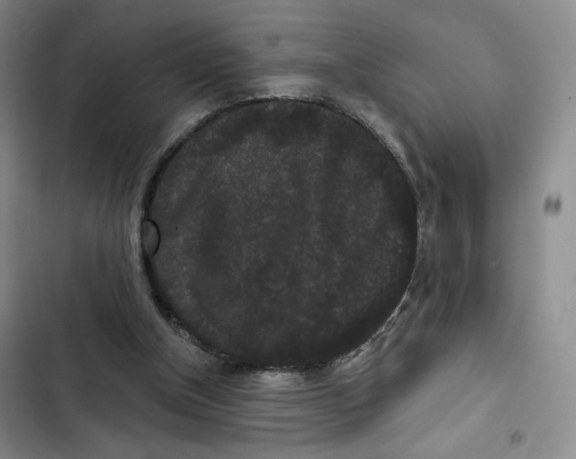 X0000102800154200809150937