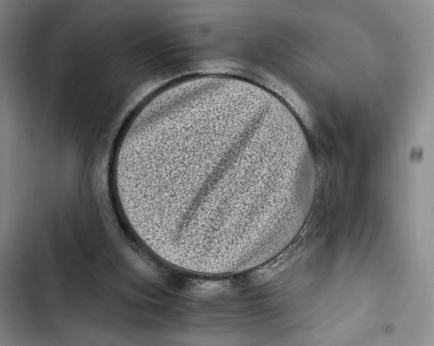 X0000102800155200809150937