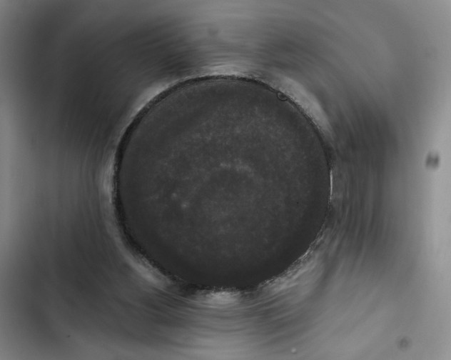 X0000102800156200809150937