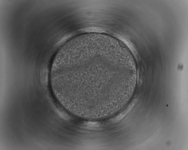 X0000102800157200809150937