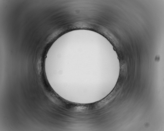 X0000102800158200809150937