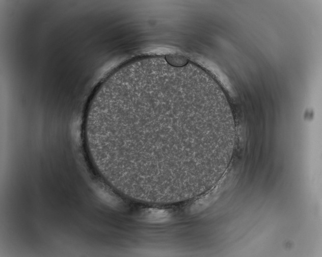 X0000102800159200809150937