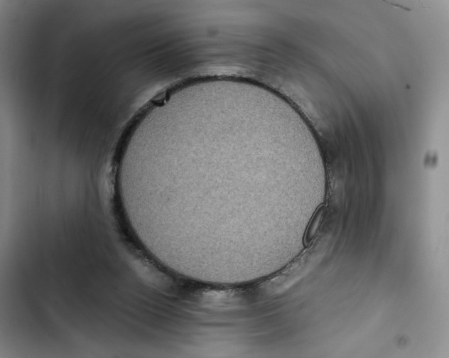 X0000102800160200809150937