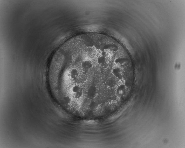 X0000102800161200809150937