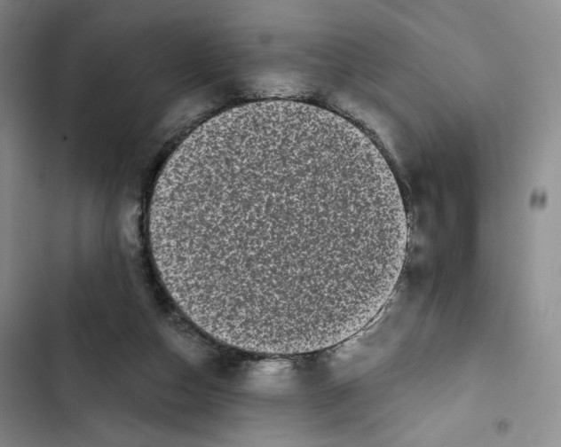 X0000102800162200809150937