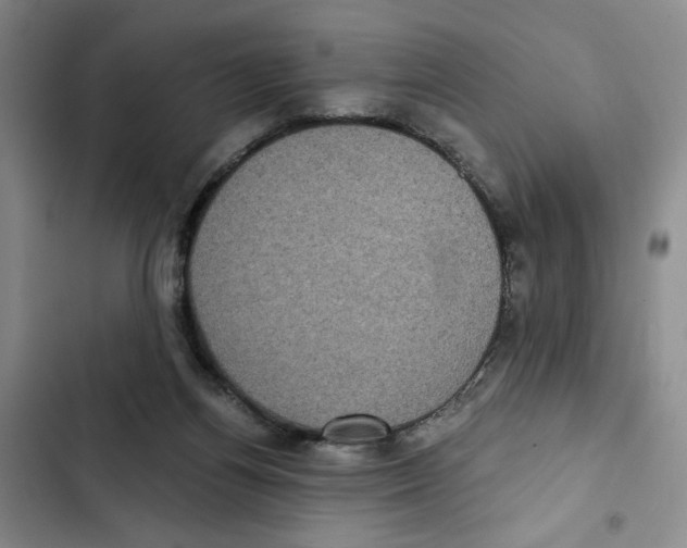 X0000102800164200809150937