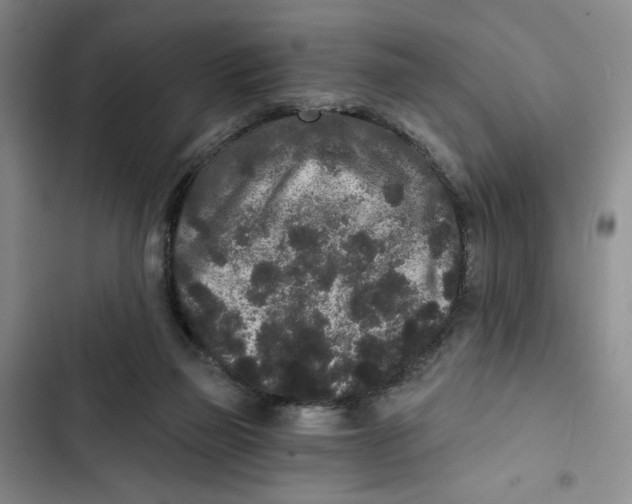 X0000102800165200809150937