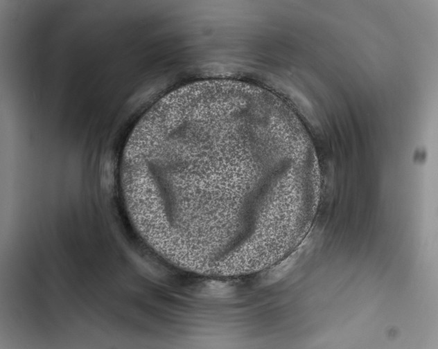 X0000102800166200809150937