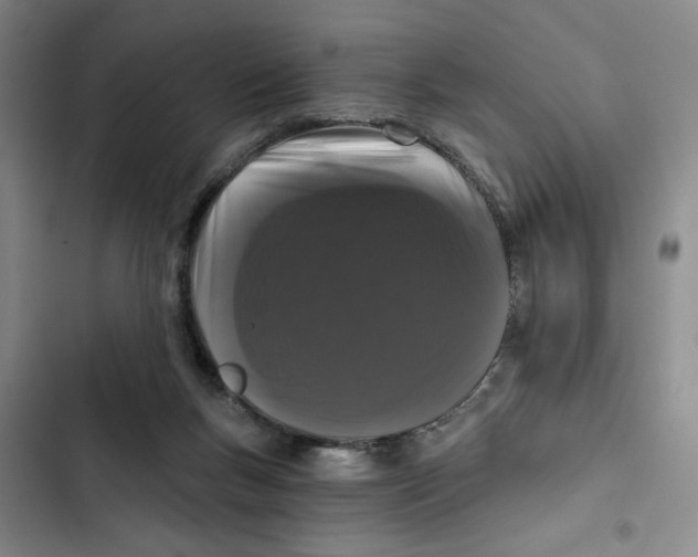 X0000102800167200809150937