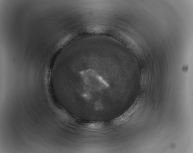 X0000102800168200809150937