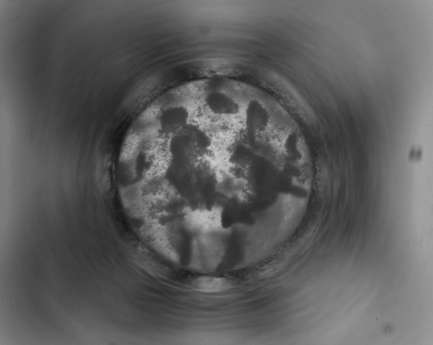 X0000102800169200809150937