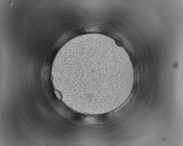 X0000102800171200809150937