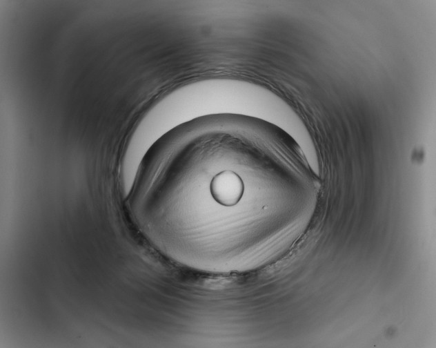 X0000102800172200809150937