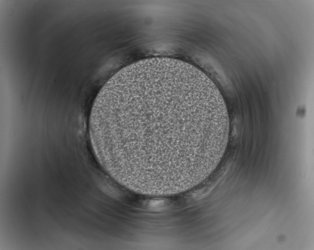 X0000102800173200809150937