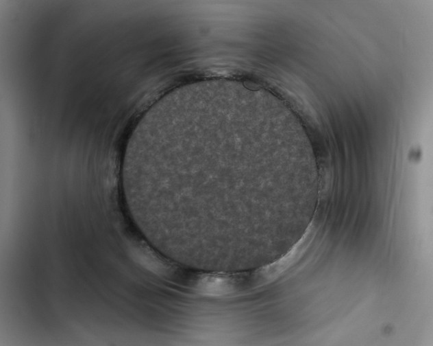 X0000102800174200809150937