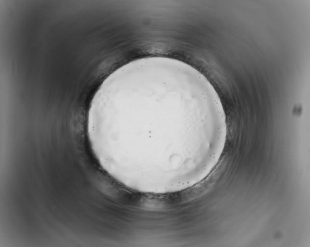 X0000102800175200809150937