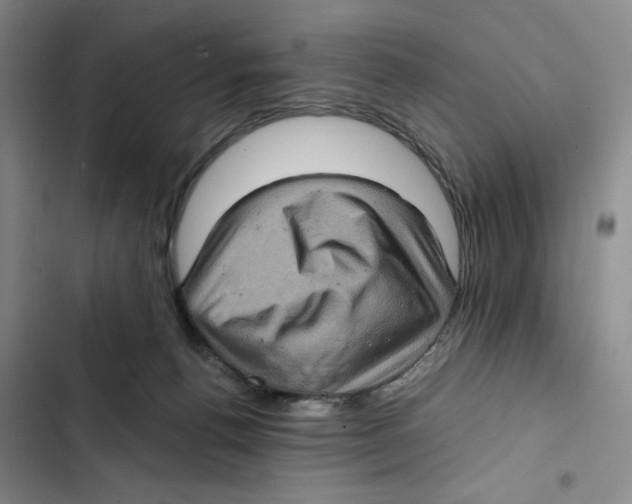 X0000102800176200809150937