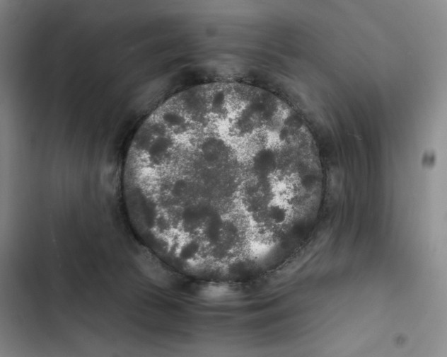 X0000102800177200809150937