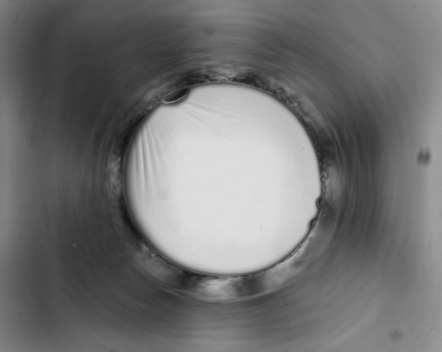 X0000102800178200809150937