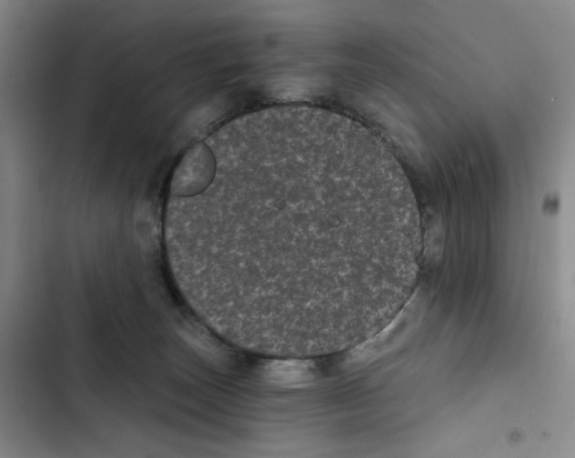 X0000102800179200809150937