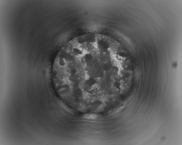 X0000102800181200809150937