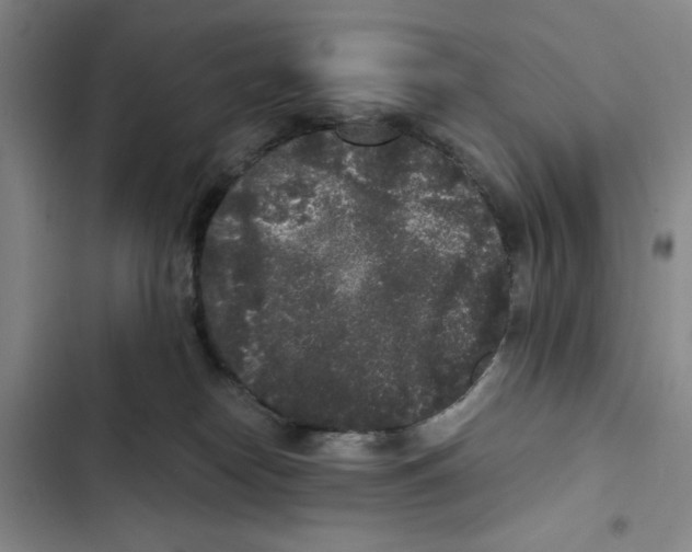 X0000102800182200809150937