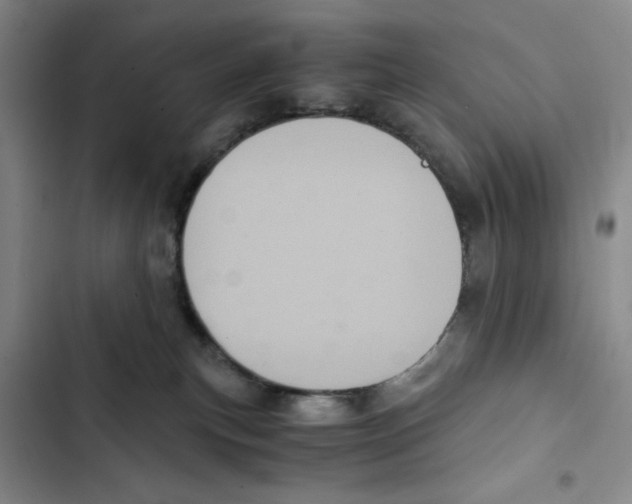 X0000102800183200809150937