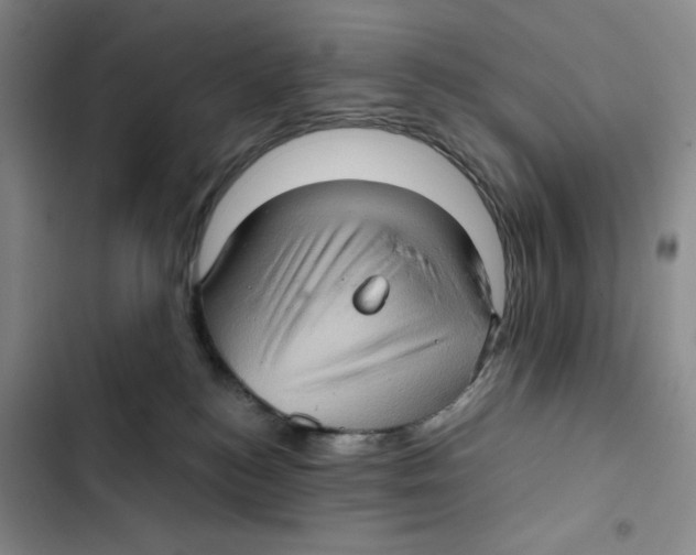 X0000102800184200809150937