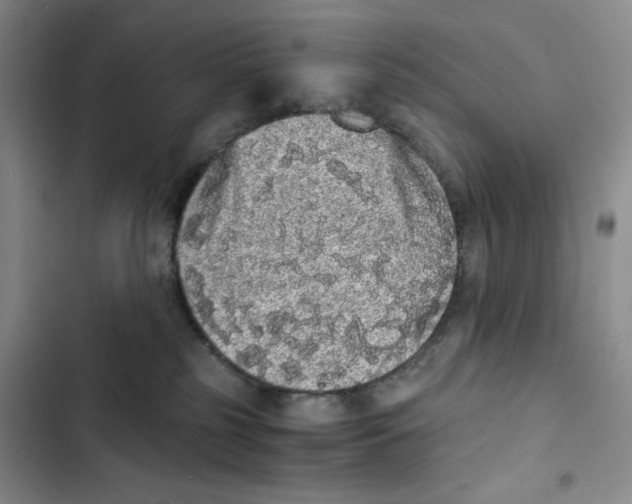 X0000102800185200809150937