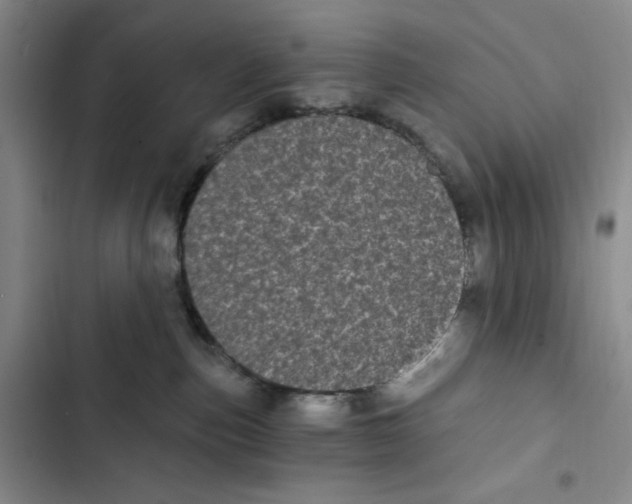 X0000102800187200809150937