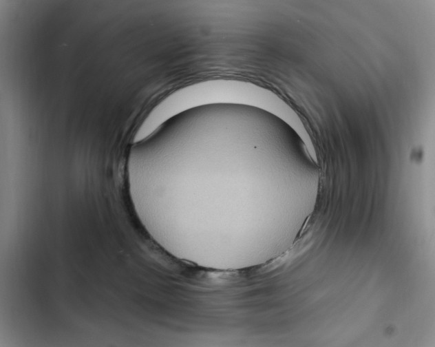 X0000102800188200809150937