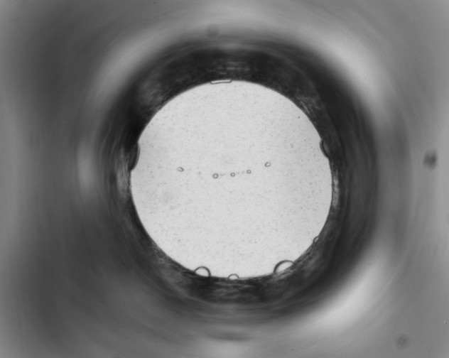 X0000102800190200809150937