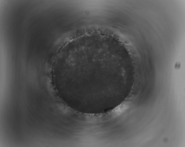 X0000102800192200809150937