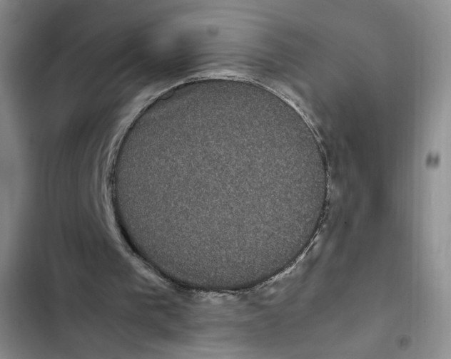 X0000102800193200809150937