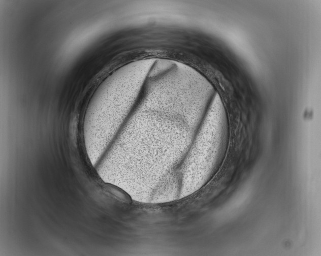 X0000102800194200809150937