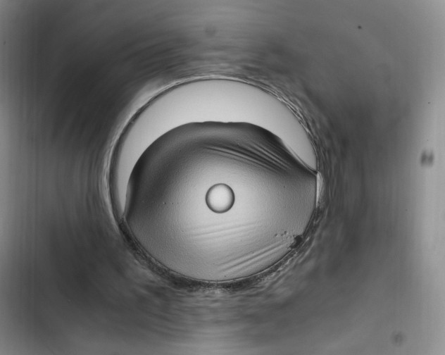 X0000102800195200809150937