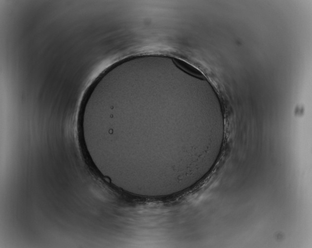 X0000102800196200809150937