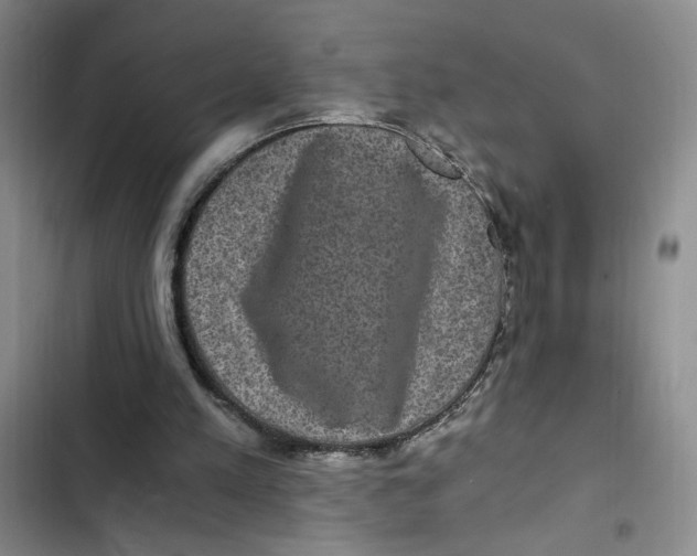 X0000102800197200809150937